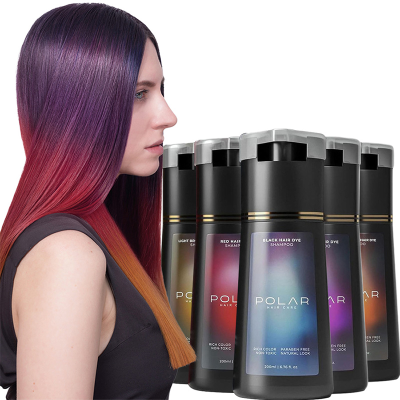 Hair Spray Color - 200 ミリリットル染毛剤シャンプークイックカラーリング染毛剤長期的な栄養染毛剤カラーリングシャンプー男性女性ヘアケア製品